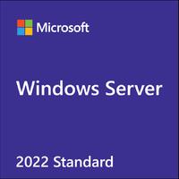 Windows Server CAL 2022 Türkçe 1pk DSP OEI 5 Clt User CAL