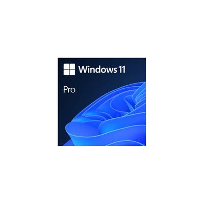 Windows 11 Professional-ElektronikLisans