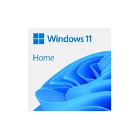 Windows OEM 11 Home 64Bit İngilizce