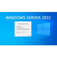 Microsoft Windows Server Standart 2022 ESD Dijital Lisans